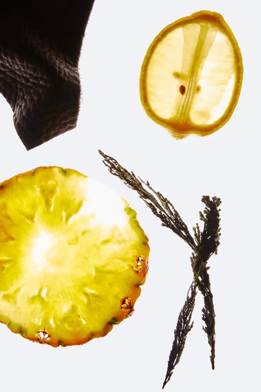 عطر مردانه زارا Bogoss Vibrant Leather — تصویر ۲