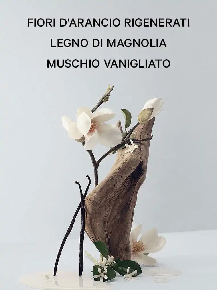 عطر ادکلن ویکتوریا سکرت بیر مگنولیا (Bare Magnolia + سایزهای مختلف) — تصویر ۶