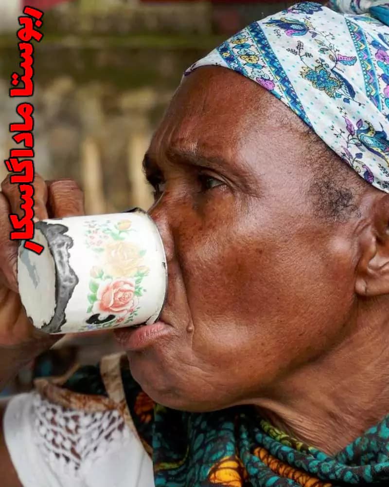 قهوه ربوستا ماداگاسکار تازه برشت دارک – مدیوم