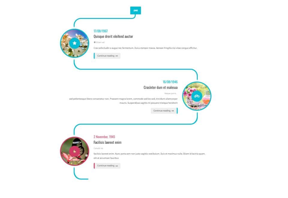 افزونه WP Timeline ساخت تایم لاین ریسپانسیو عمودی و افقی وردپرس 3.6.6 — تصویر ۴