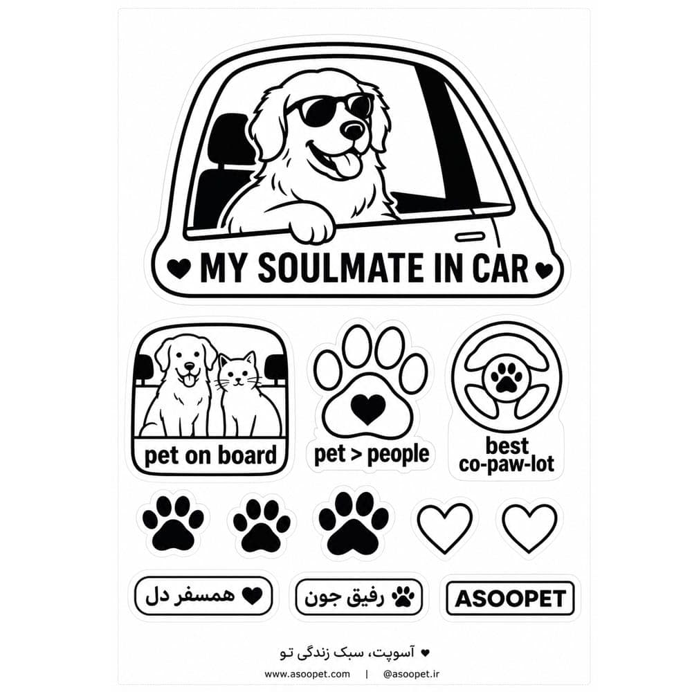 استیکر مدل Car Window آسوپت