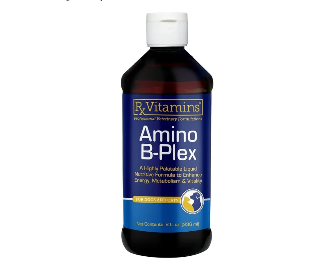 Rx Vitamins Amino B-Plex Cat & Dog Supplement – مکمل مایع ویتامین‌های گروه B و آمینواسیدها برای سگ‌ها و گربه‌ها