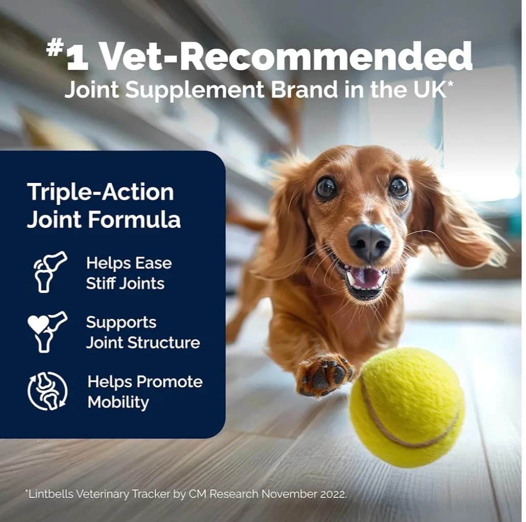 مکمل مفاصل سگ YuMOVE Hip & Joint | تقویت‌کننده تخصصی مفاصل با گلوکزامین و صدف سبز (۱۸۰ عددی – Advanced Vet Strength) — تصویر ۲
