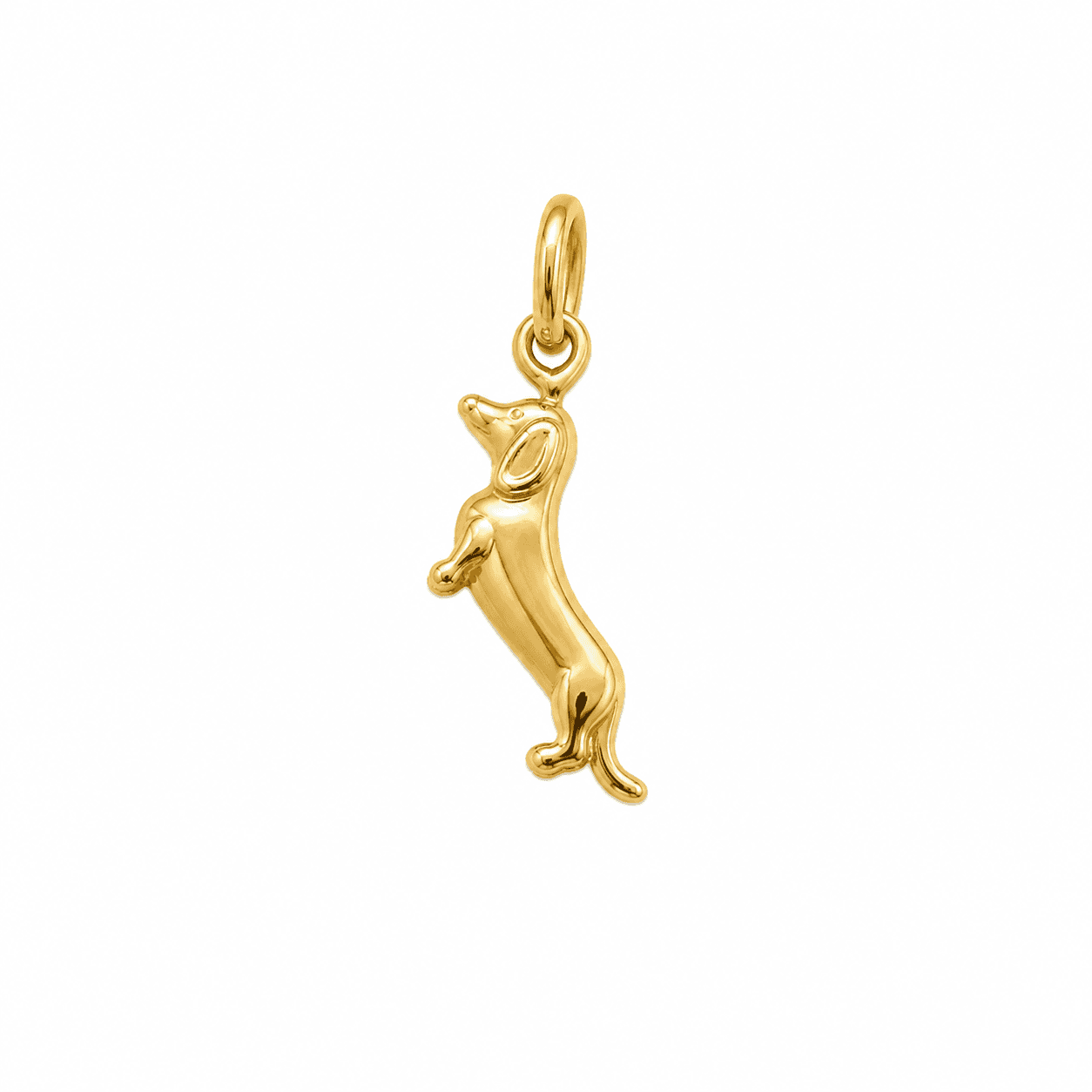 آویز هاپو سوسیسی