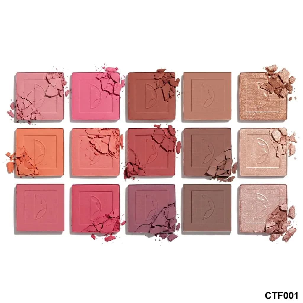پالت صورت ۱۵ رنگ CTF001 کارکتر | Character Color Theory 15 Color Face & Cheek Palette CTF001 — تصویر ۴