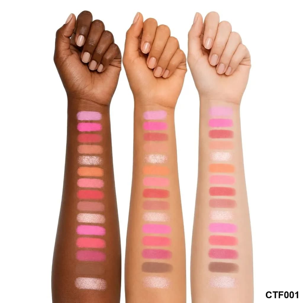پالت صورت ۱۵ رنگ CTF001 کارکتر | Character Color Theory 15 Color Face & Cheek Palette CTF001 — تصویر ۳