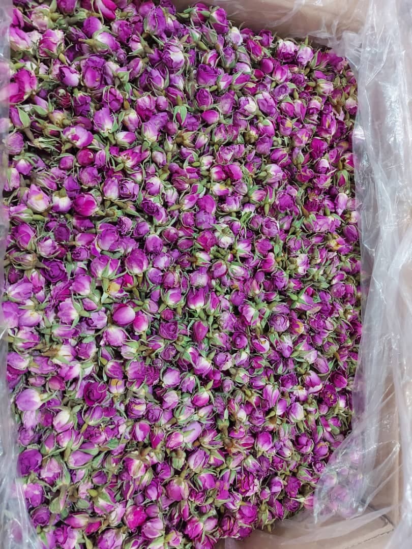 غنچه گل محمدی خشک – 50 گرم — تصویر ۵