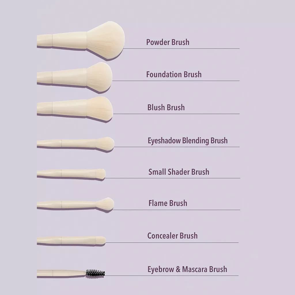 ست براش آرایشی ۸ تکه شیگلم | SHEGLAM Pro Core Brush Set 8 Pieces — تصویر ۵