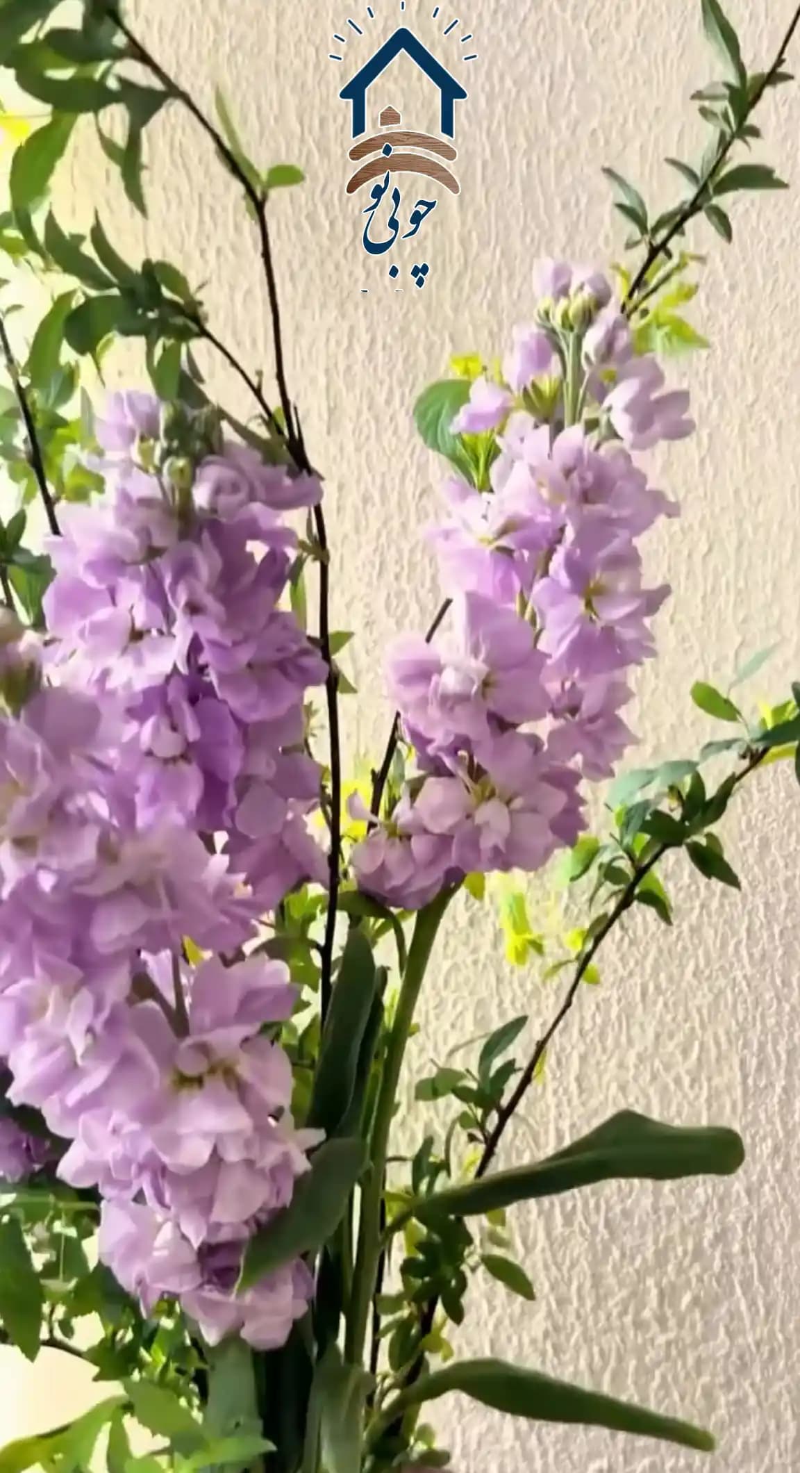 تابلو زنده چوبی نو کد 104 — تصویر ۴