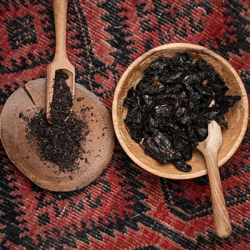 مغز لیمو — تصویر ۲