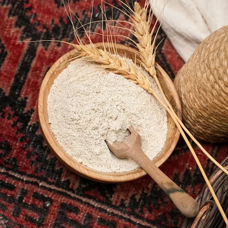 جوانه گندم — تصویر ۲