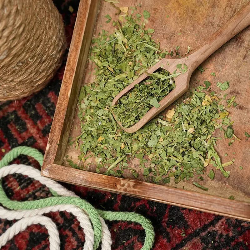 سبزی اسفناج — تصویر ۵