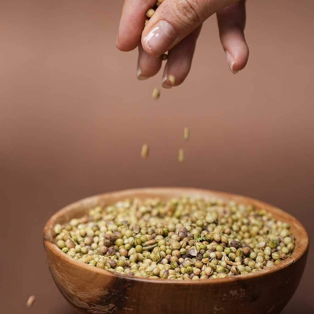 تخم گشنيز توپی — تصویر ۲