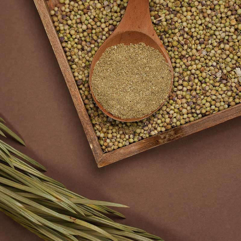 تخم گشنيز توپی — تصویر ۴