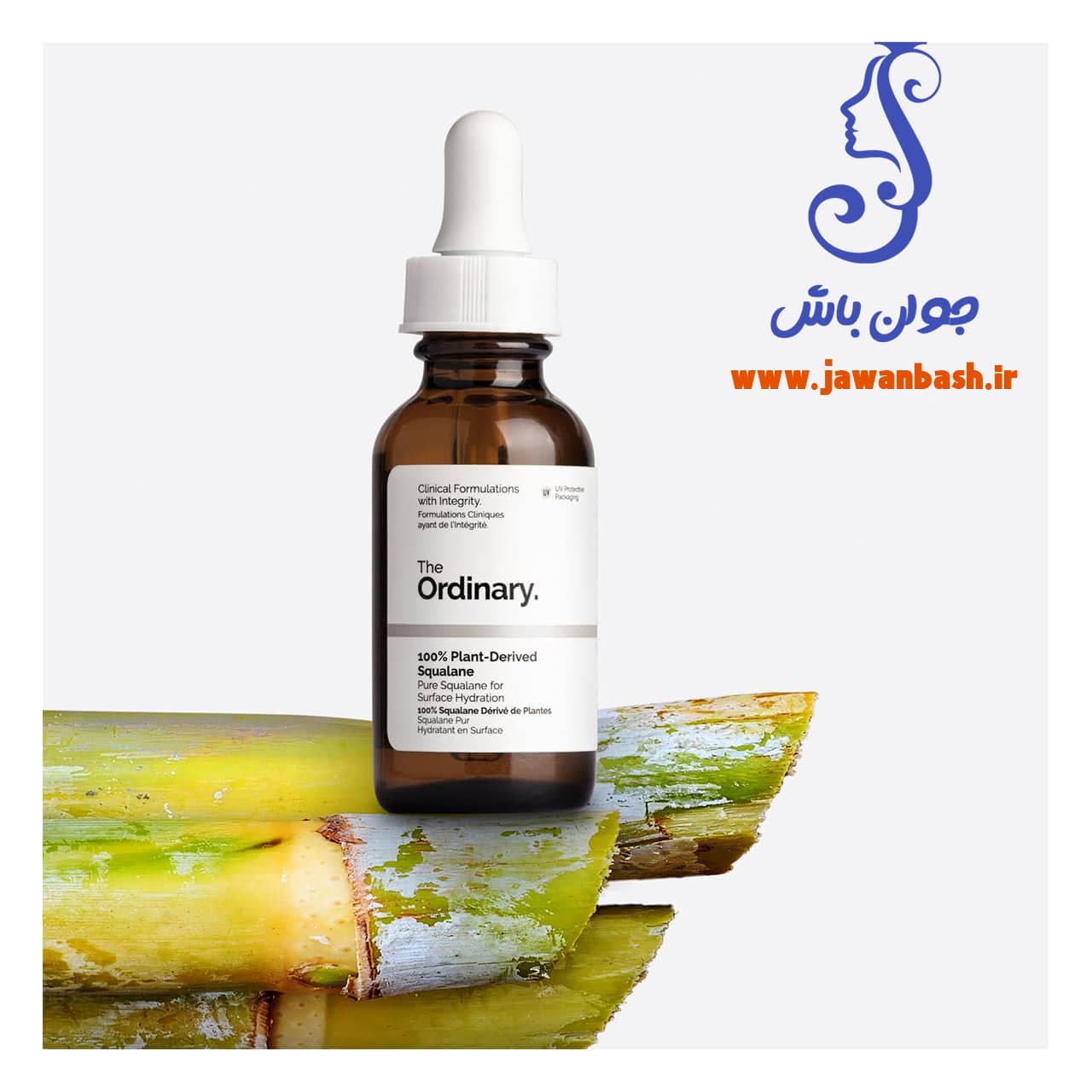 سرم پلنت دیرایود اسکوالن اوردینری آبرسان (30mL) — تصویر ۳
