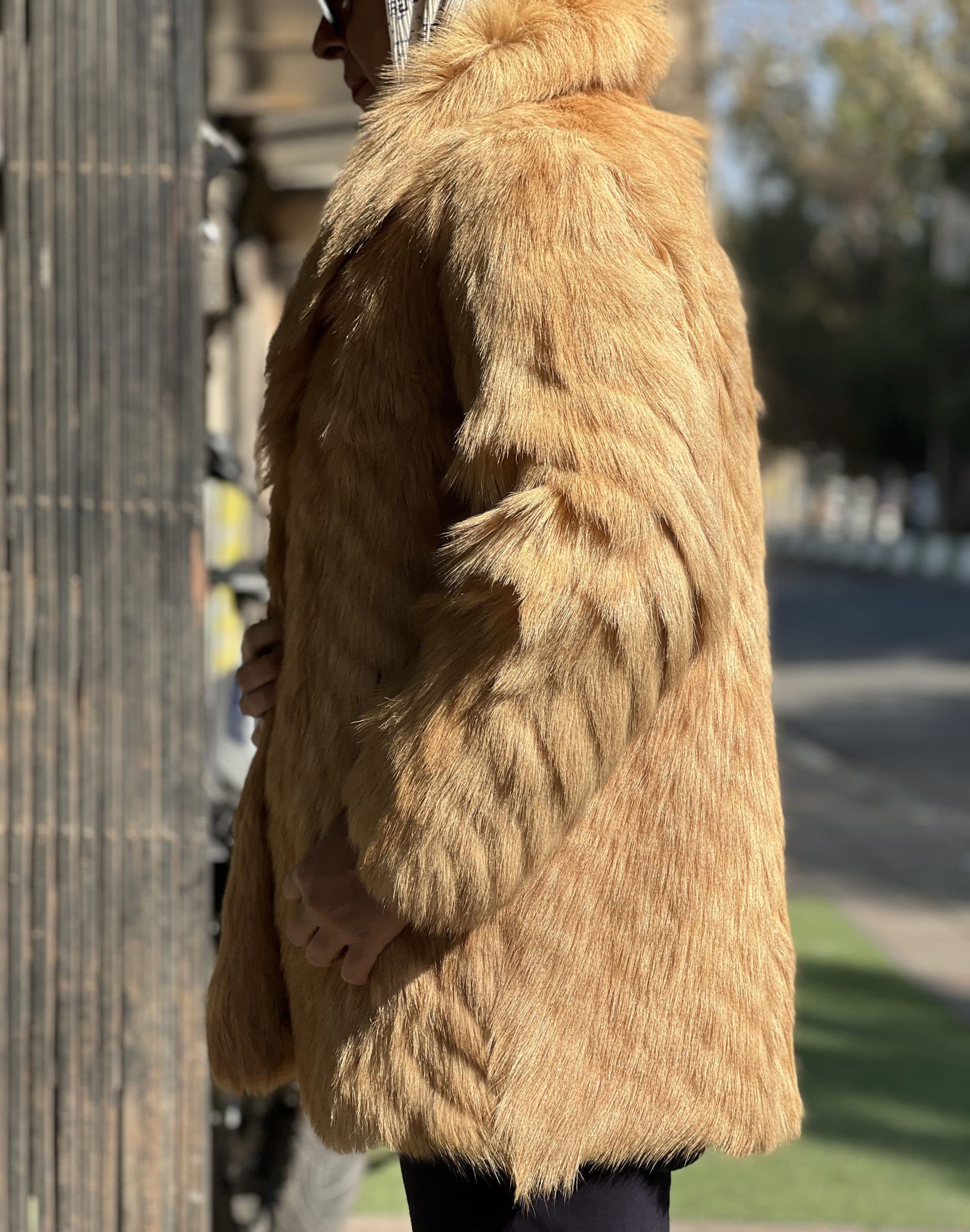 پالتو پوست طبیعی گرگ (دینگو) کد 10 — تصویر ۲