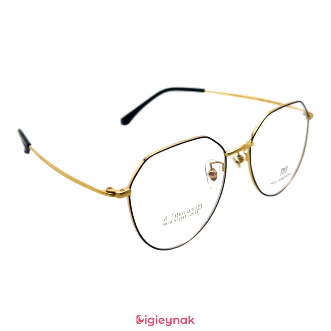 عینک طبی مشکی طلایی آی پی تیتانیوم 8829<br><span>IP Titanium 8829</span> — تصویر ۲