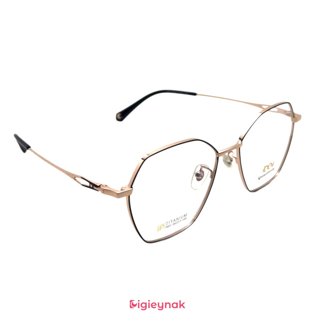 عینک طبی مشکی رز گلد آی پی تیتانیوم 7651<br><span>IP Titanium 7651</span> — تصویر ۲