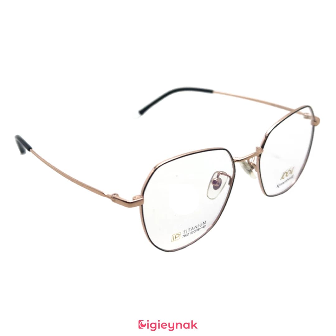 عینک طبی مشکی رزگلد آی پی تیتانیوم 7602<br><span>IP Titanium 7602</span> — تصویر ۲