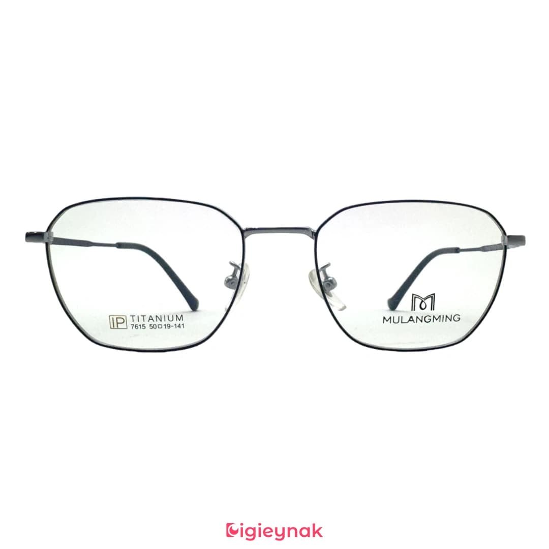 عینک طبی آی پی تیتانیوم 7615<br><span>IP Titanium 7615</span>
