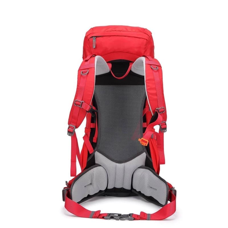 کوله پشتی پکینیو مدل SUMMIT 40+5L KA — تصویر ۵