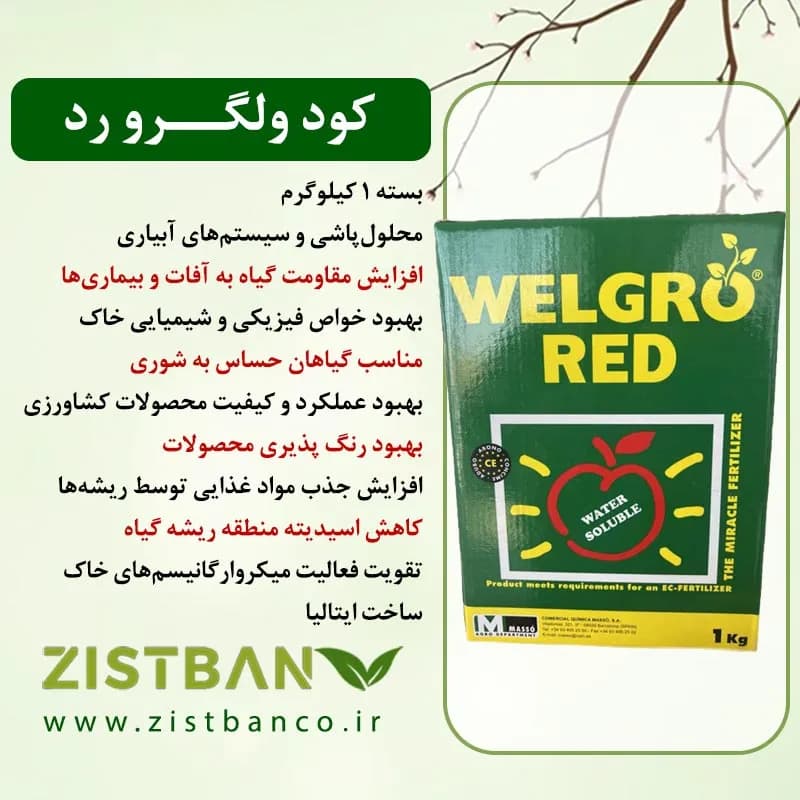 کود پتاسیم ولگرو رد ماسو اسپانیا 1 کیلوگرمی — تصویر ۳