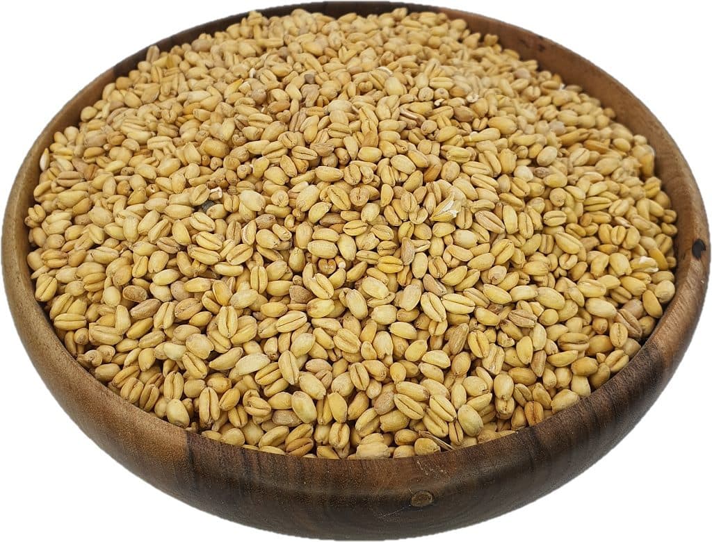 گندم بوداده