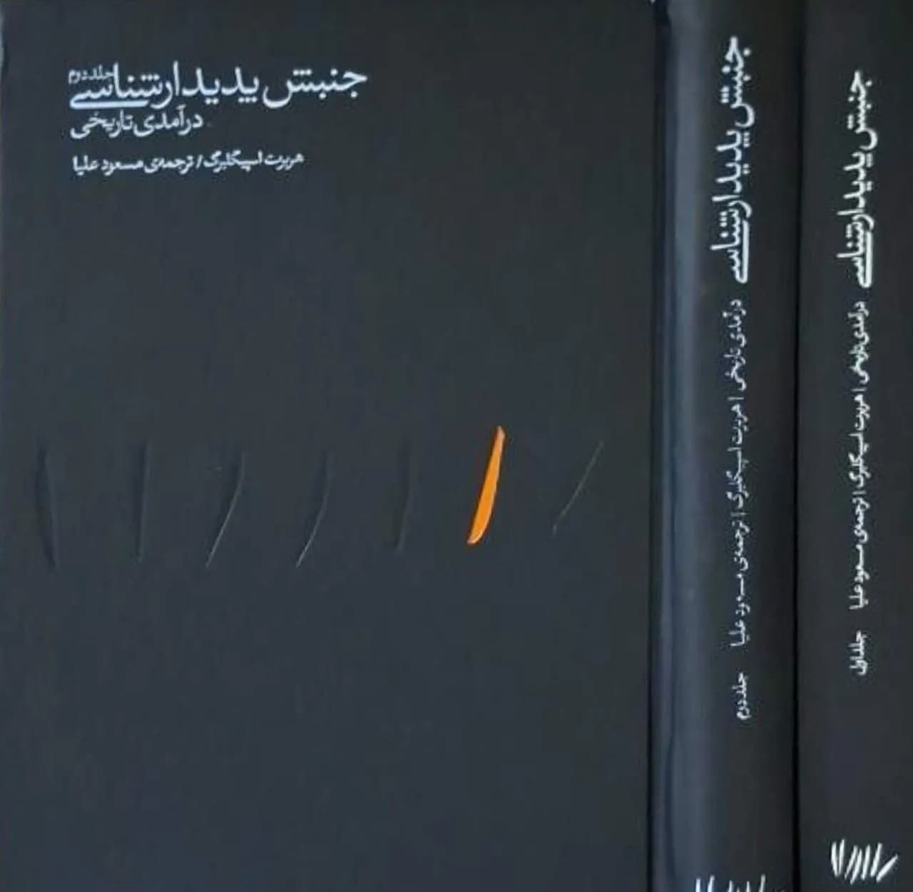 جنبش پدیدارشناسی | هربرت اسپیگلبرگ
