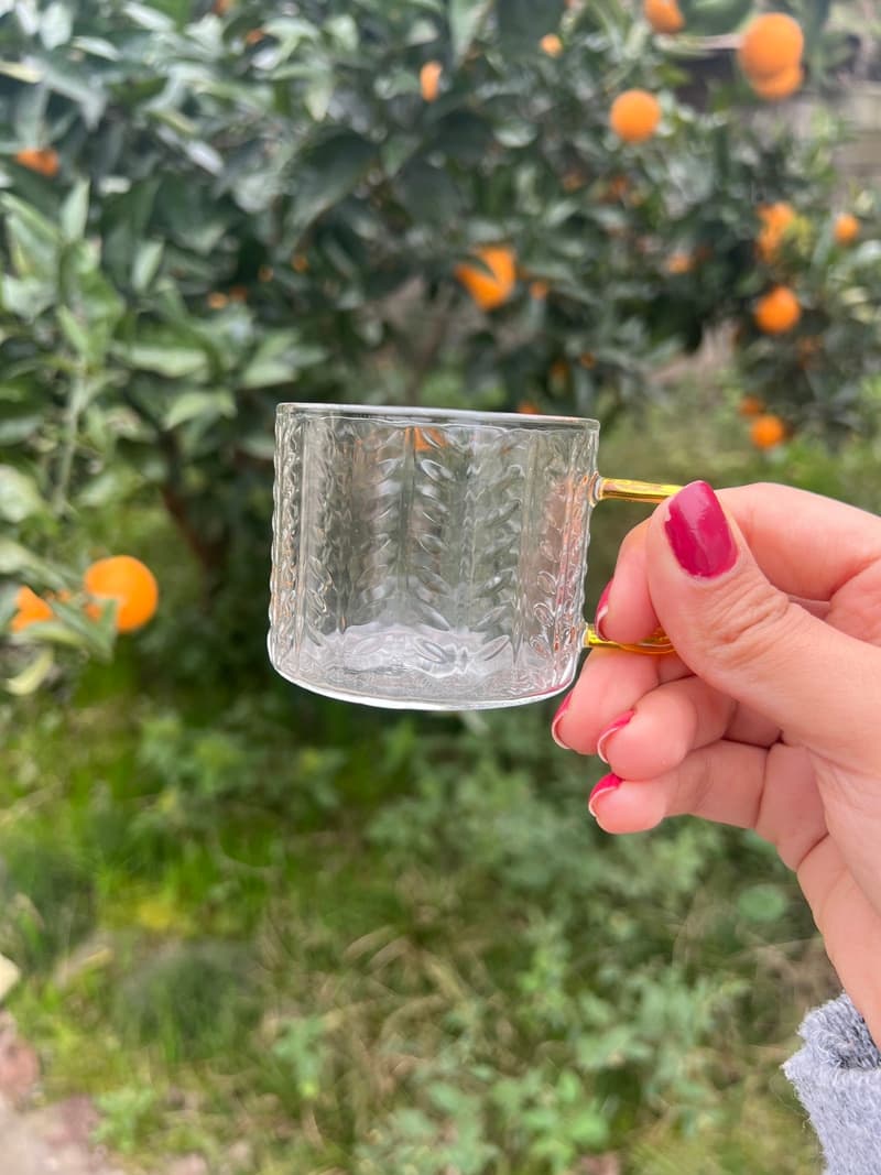 شات پیرکس طرح گندم دسته طلایی آنتی شوک — تصویر ۲
