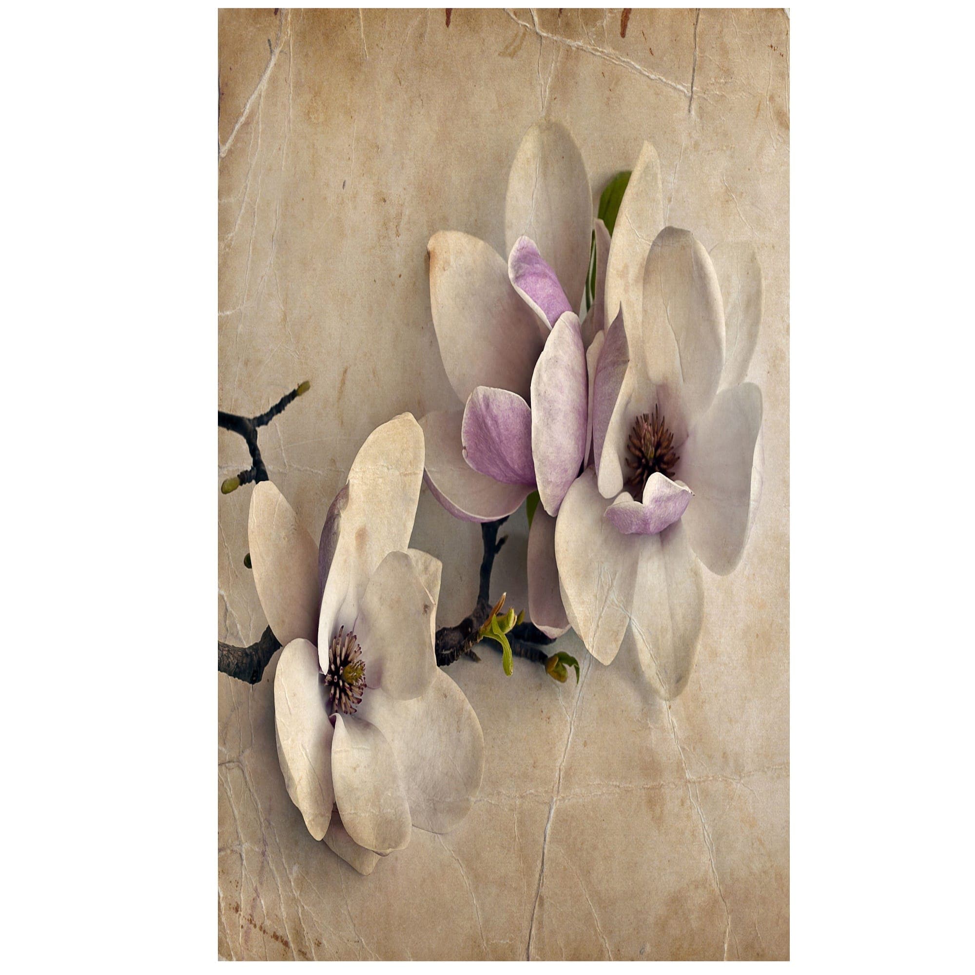 پرده زبرا زیو کد 3D074 — تصویر ۳