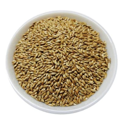 کتان مخصوص پرنده