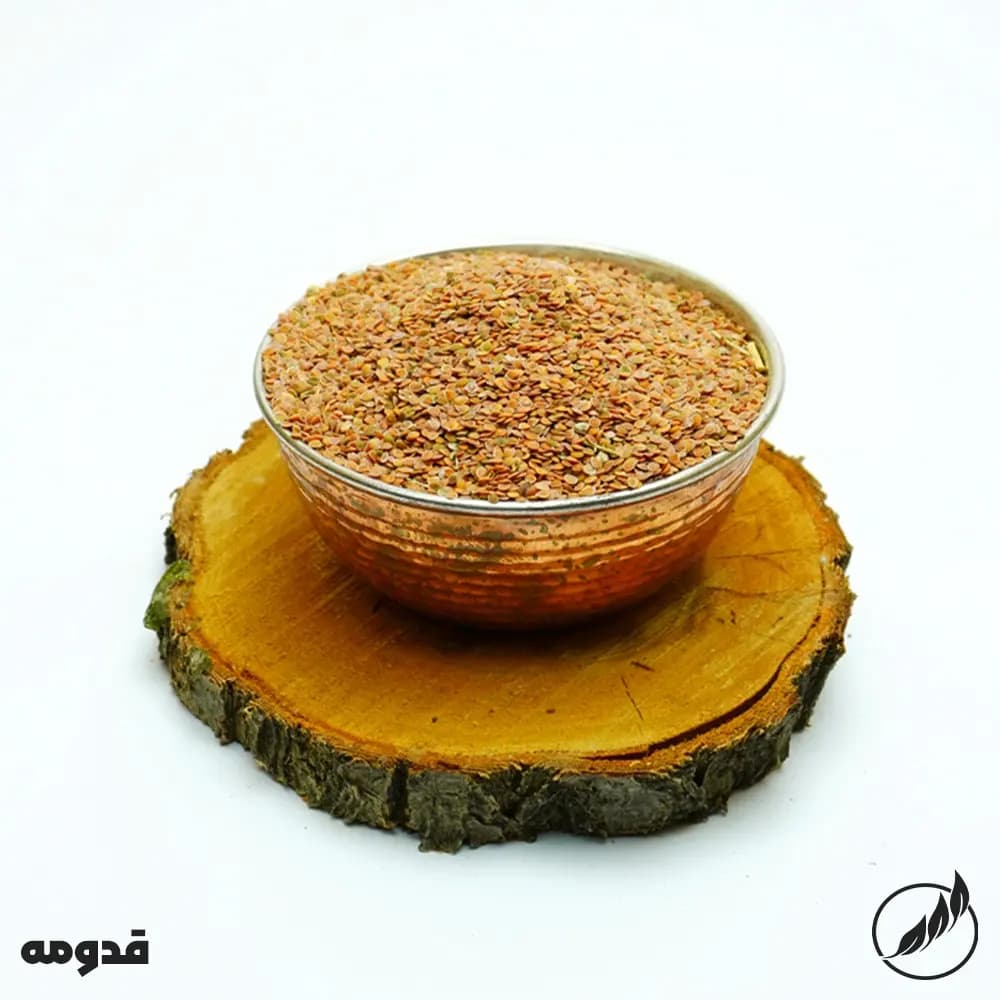 قدومه- سالم فودز