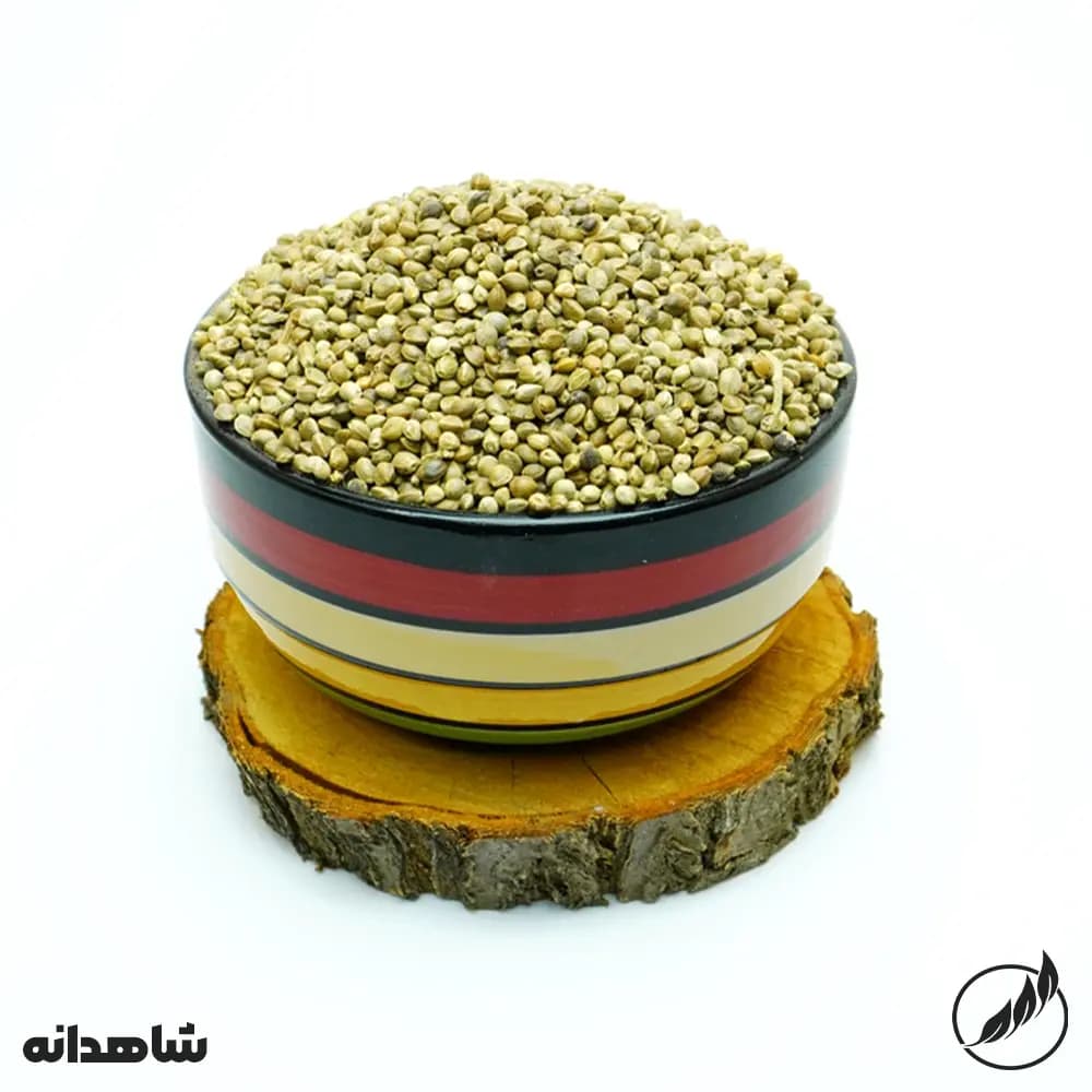 شاهدانه-سالم فودز