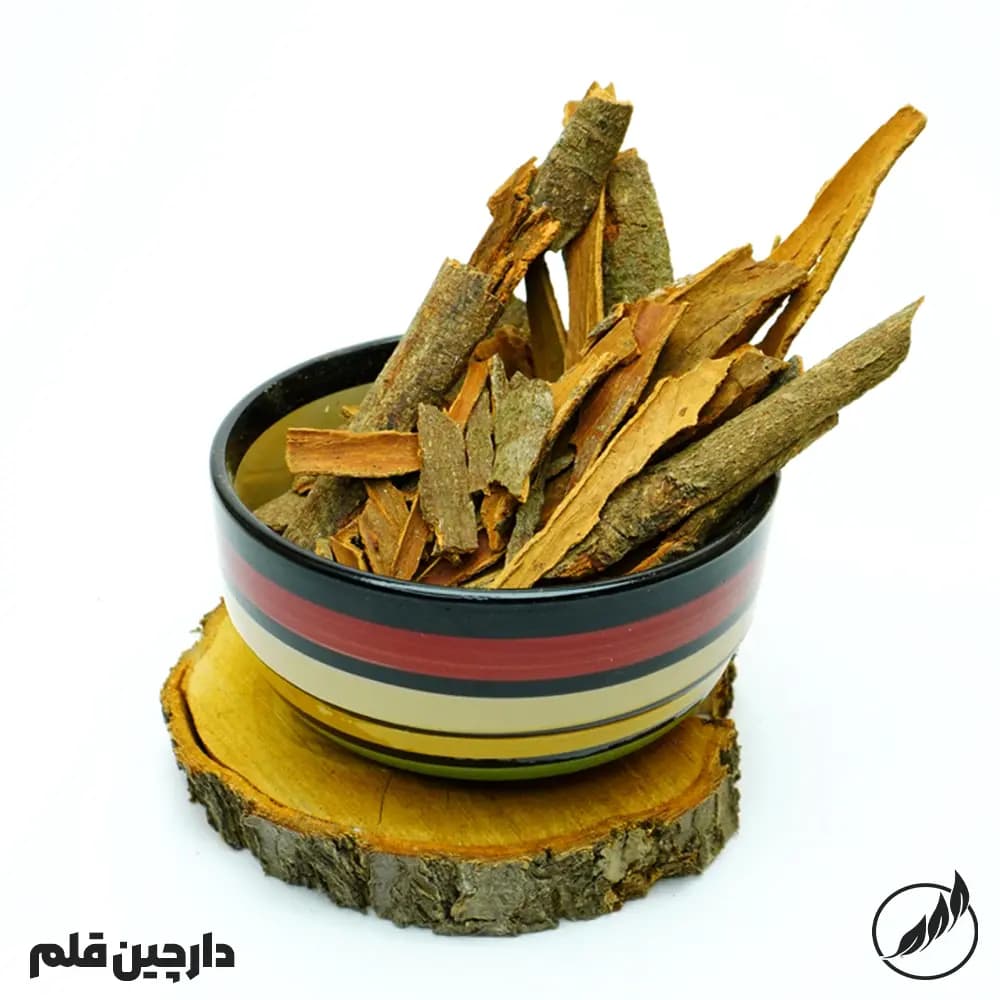 دارچین قلم کاسیا-سالم فودز