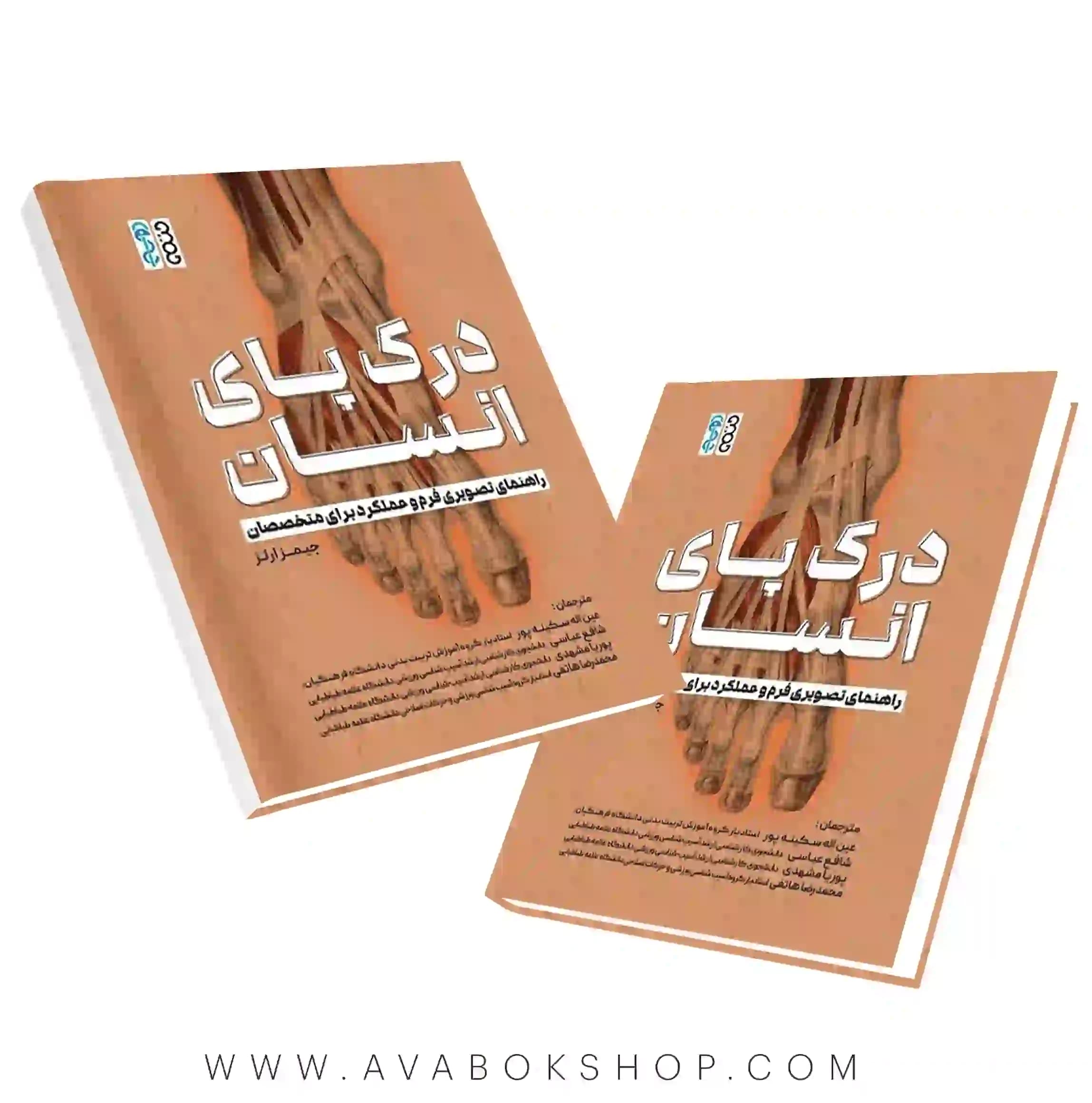 کتاب درک پای انسان (راهنمای تصویری فرم و عملکرد برای متخصصان) انتشارات حتمی