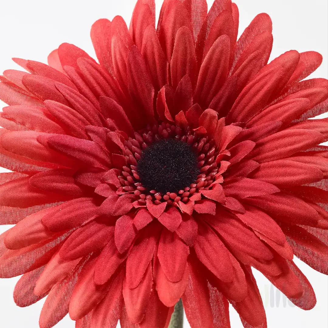 گل مصنوعی ژربرا ایکیا SMYCKA — تصویر ۲