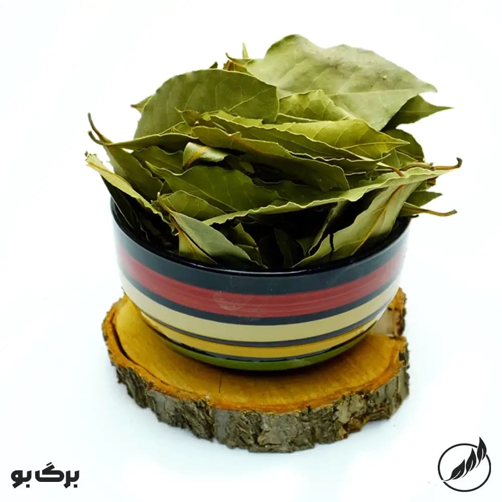 برگ بو-سالم فودز