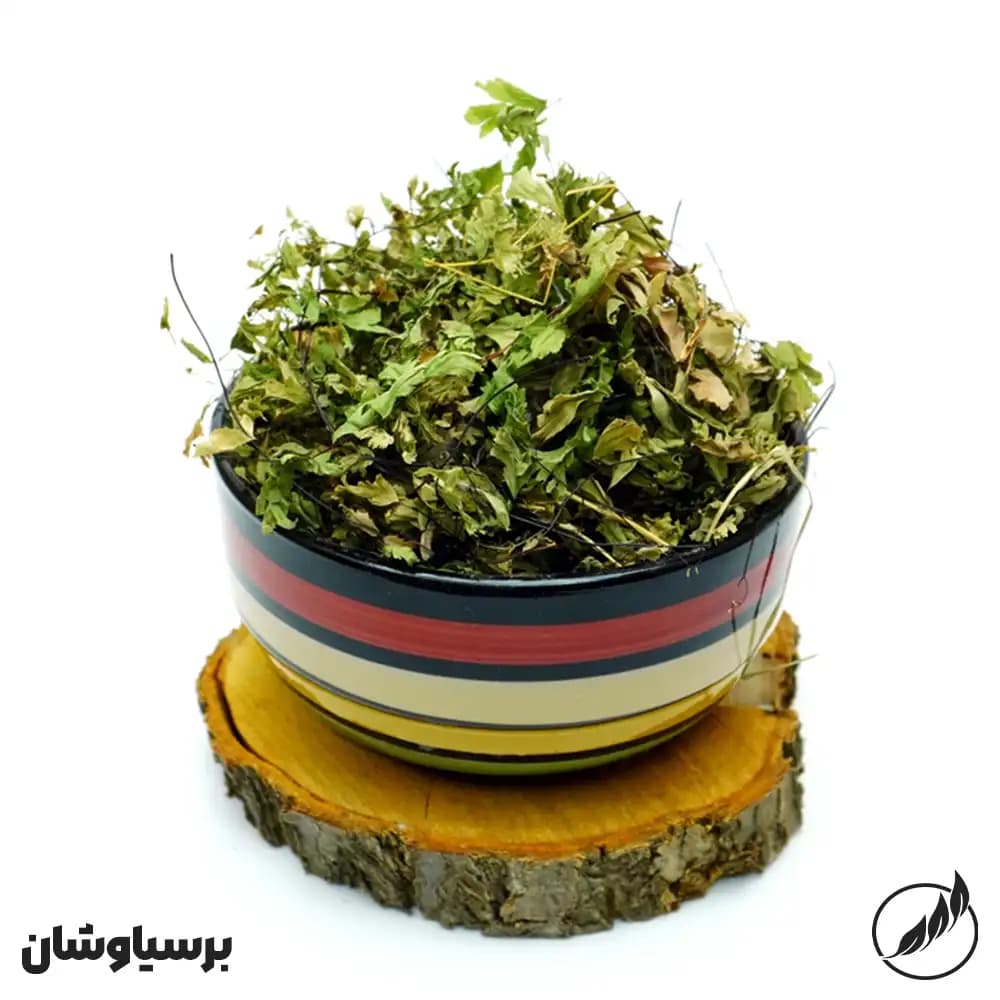 پرسیاوشان-سالم فودز