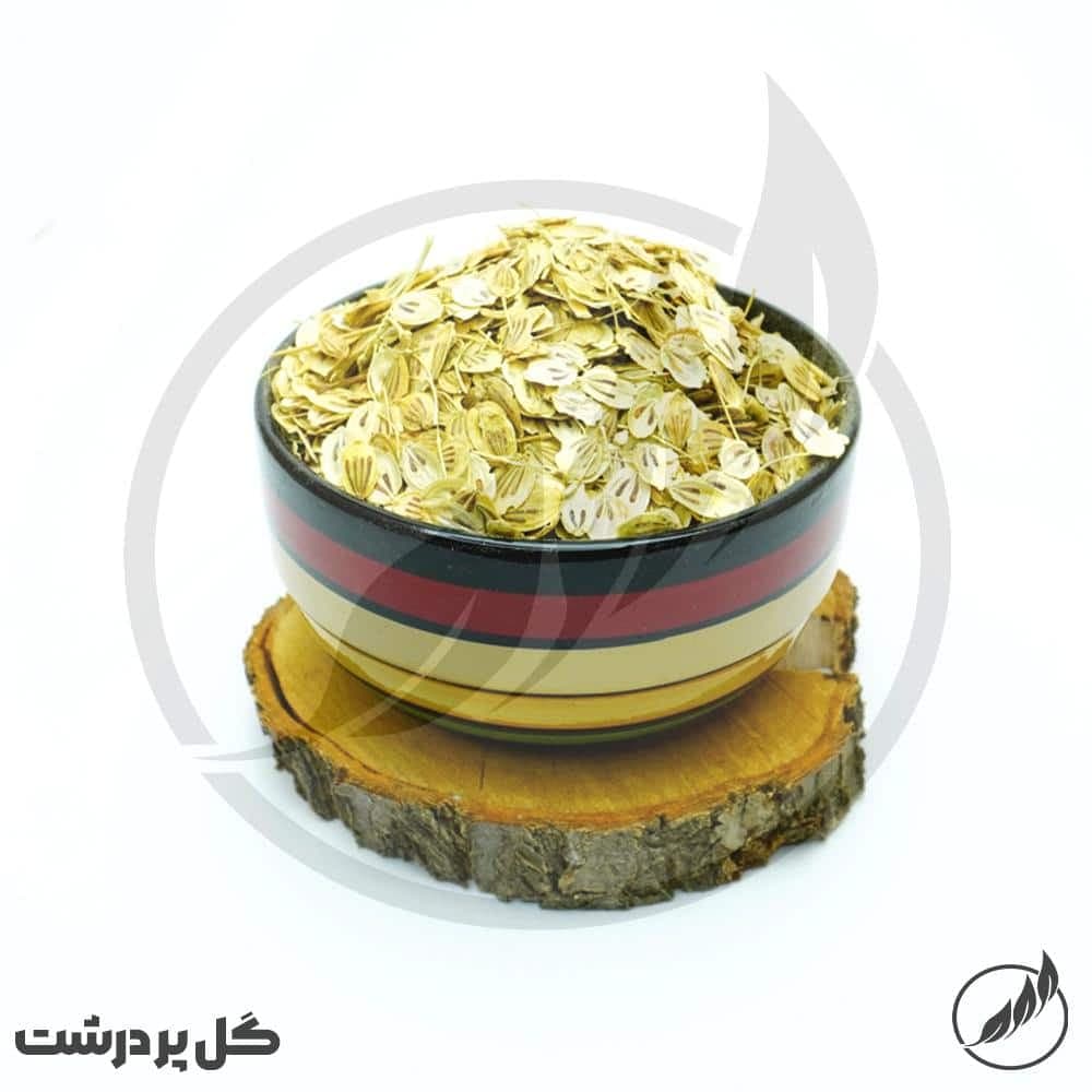 گلپر درشت-سالم
