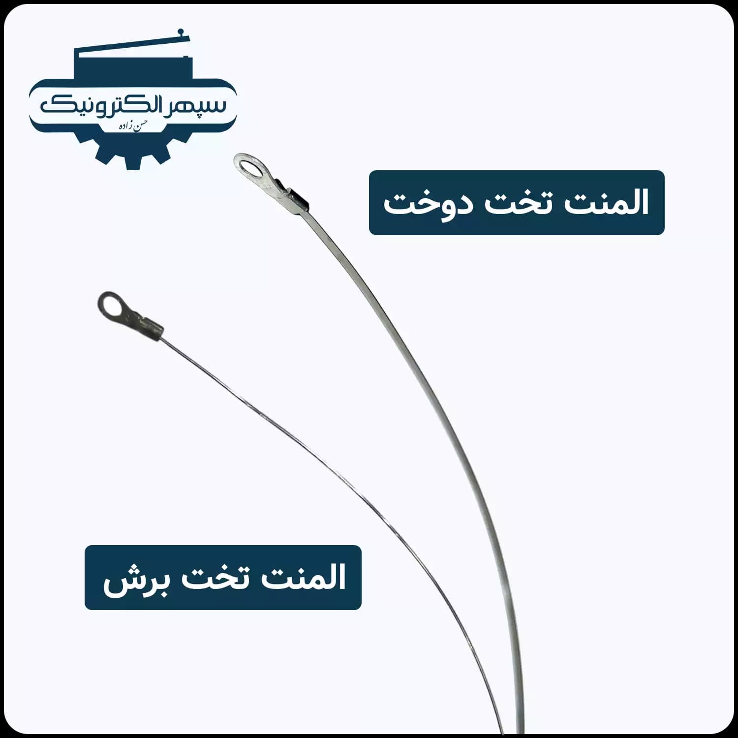 المنت فنری