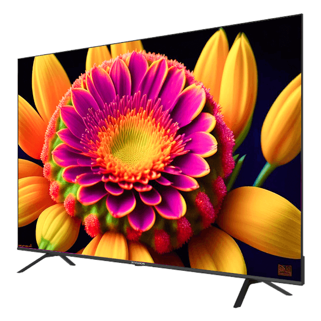 تلویزیون ایکس‌ویژن 65 اینچ 4K QLED مدل 65X25 — تصویر ۳