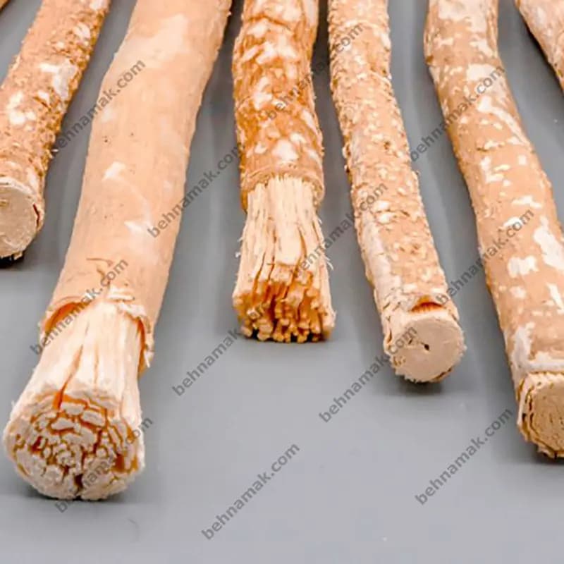 چوب مسواک| مسواک چوبی — تصویر ۳