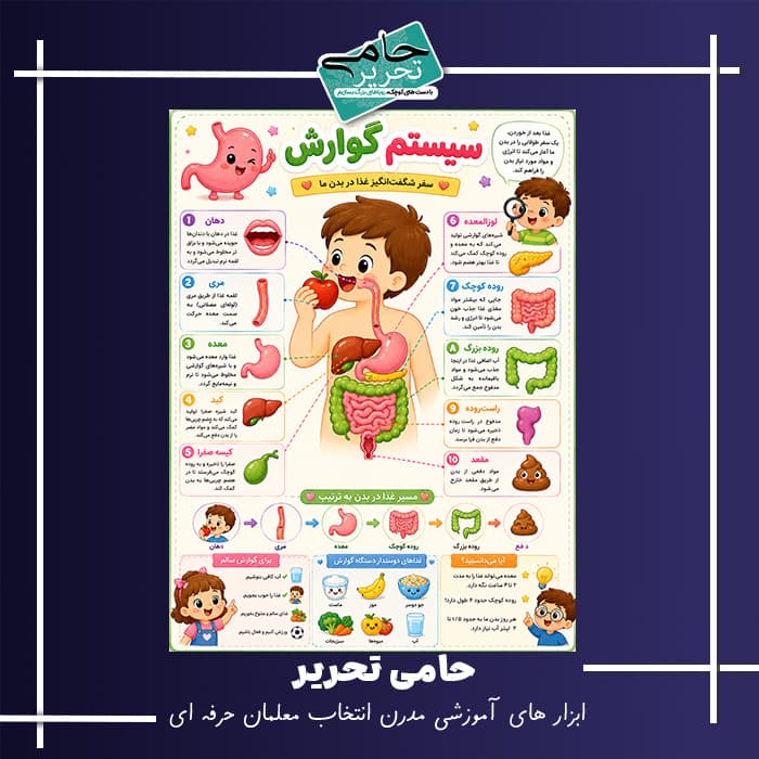 پوستر آموزشی سیستم گوارش انسان و نحوه کارکرد آن