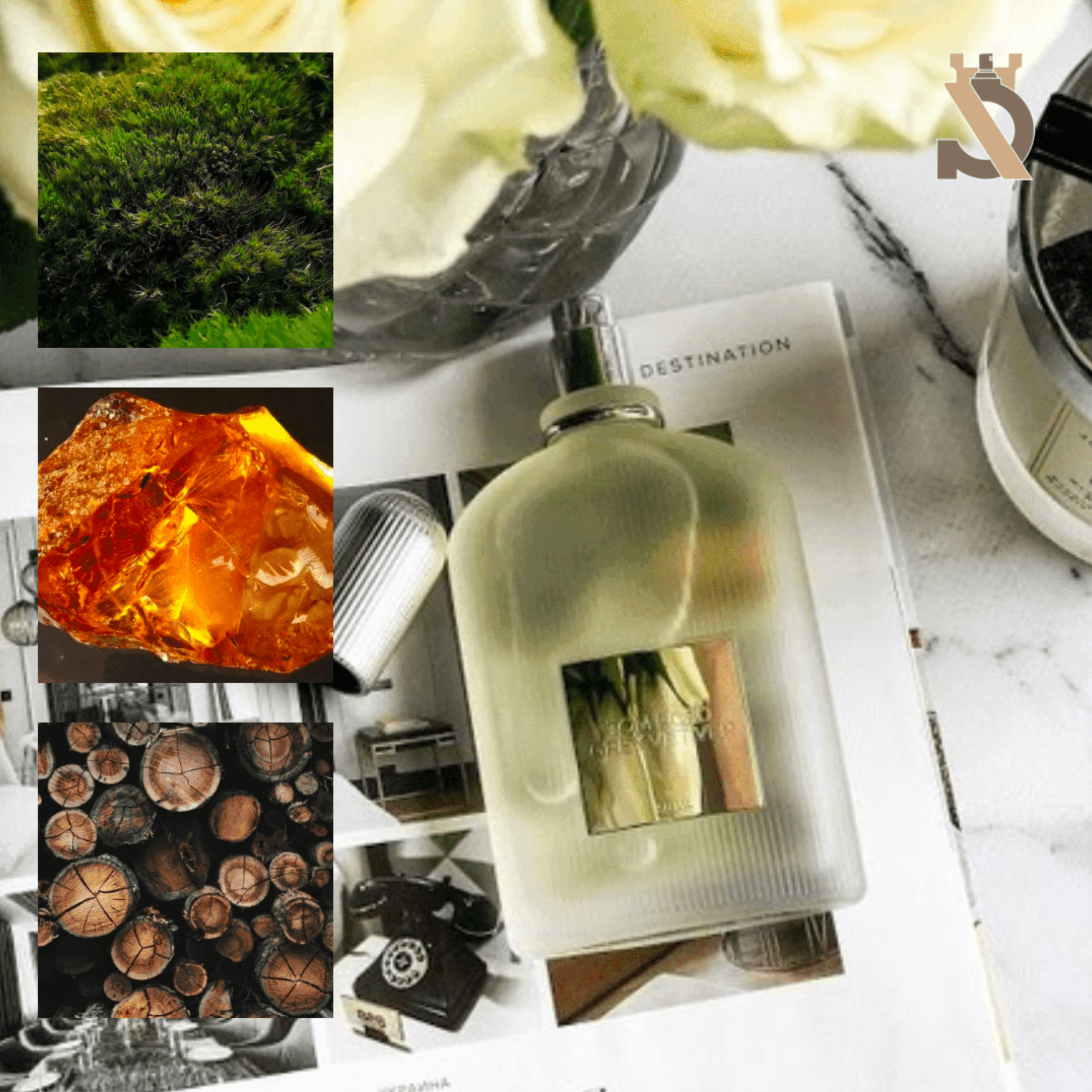 اسانس تام فورد گری وتیور TOM FORD GREY VETIVER — تصویر ۲