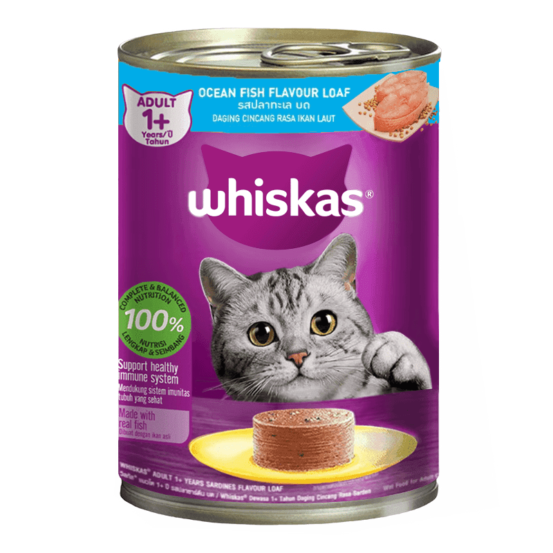 کنسرو گربه پته ویسکاس Whiskas طعم ماهی اقیانوس