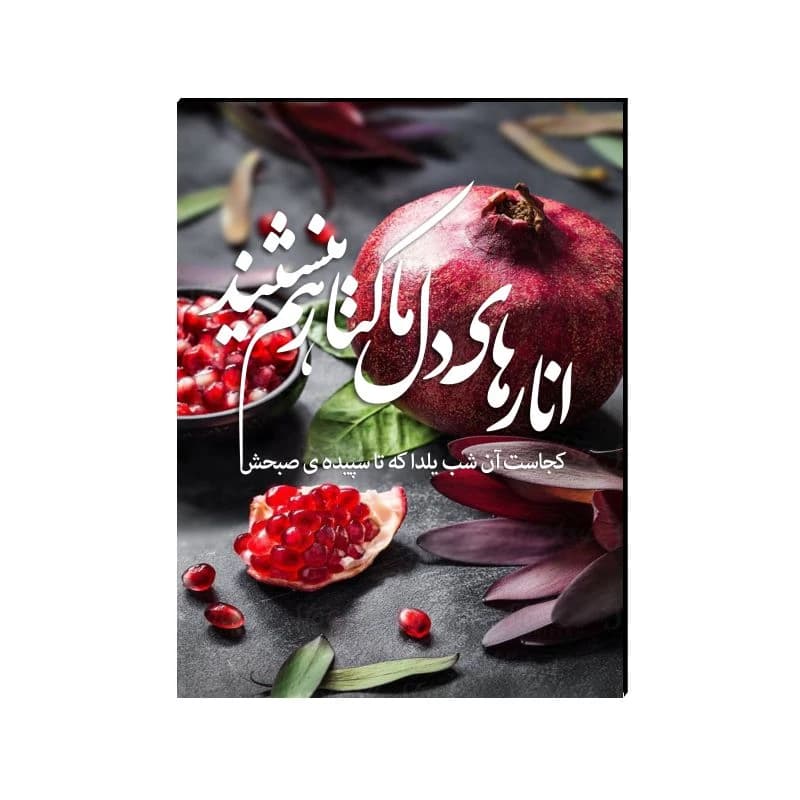 تابلو شاسی طرح انارهای دل ما — تصویر ۲