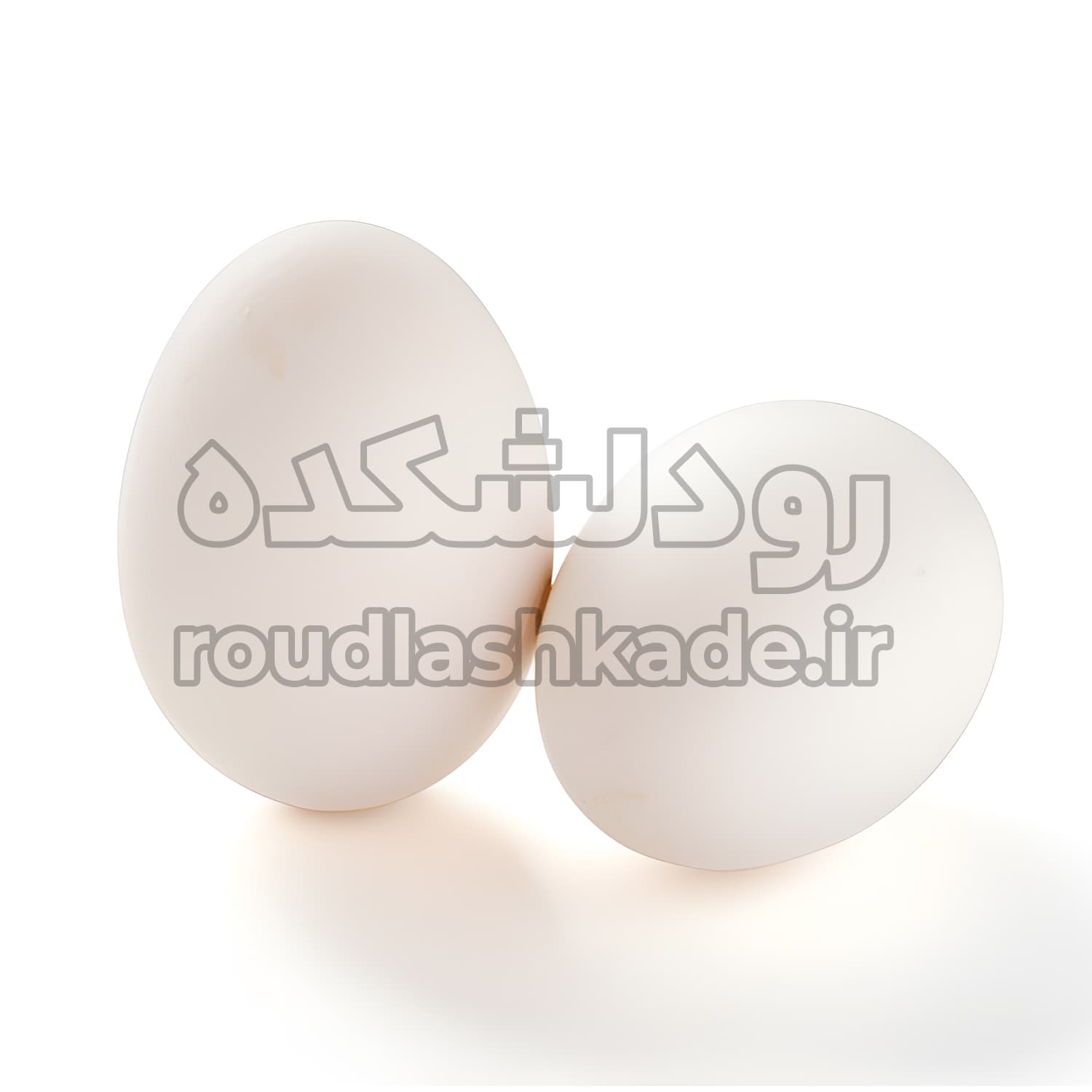 تخم غاز — تصویر ۳
