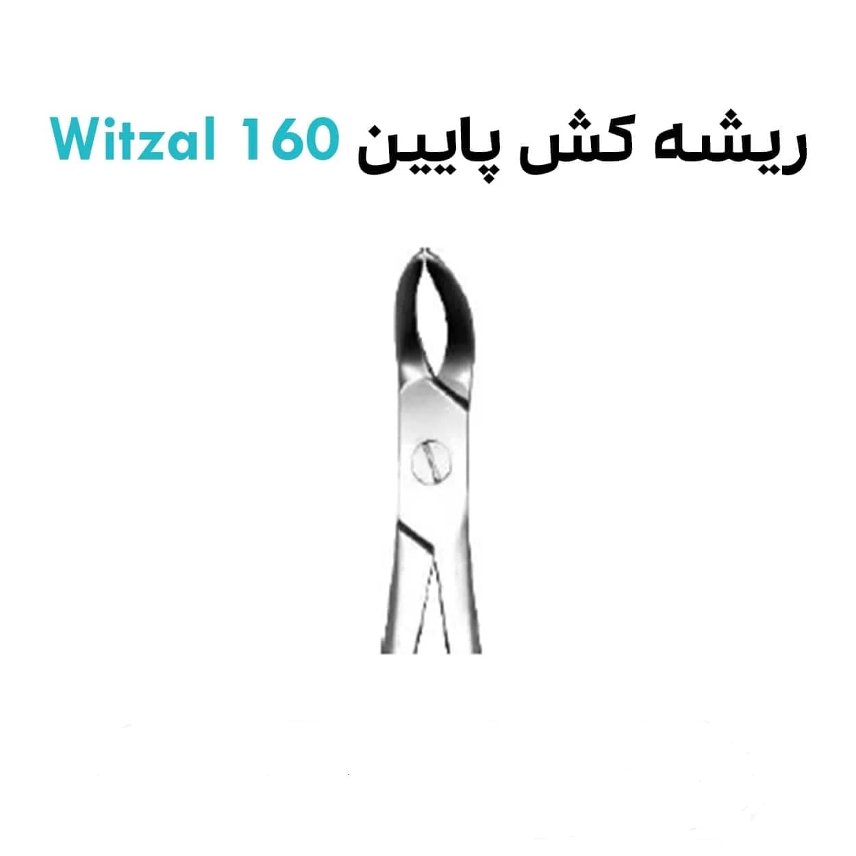 فورسپس ریشه کش پایین wetzel 160mm کد 1137
