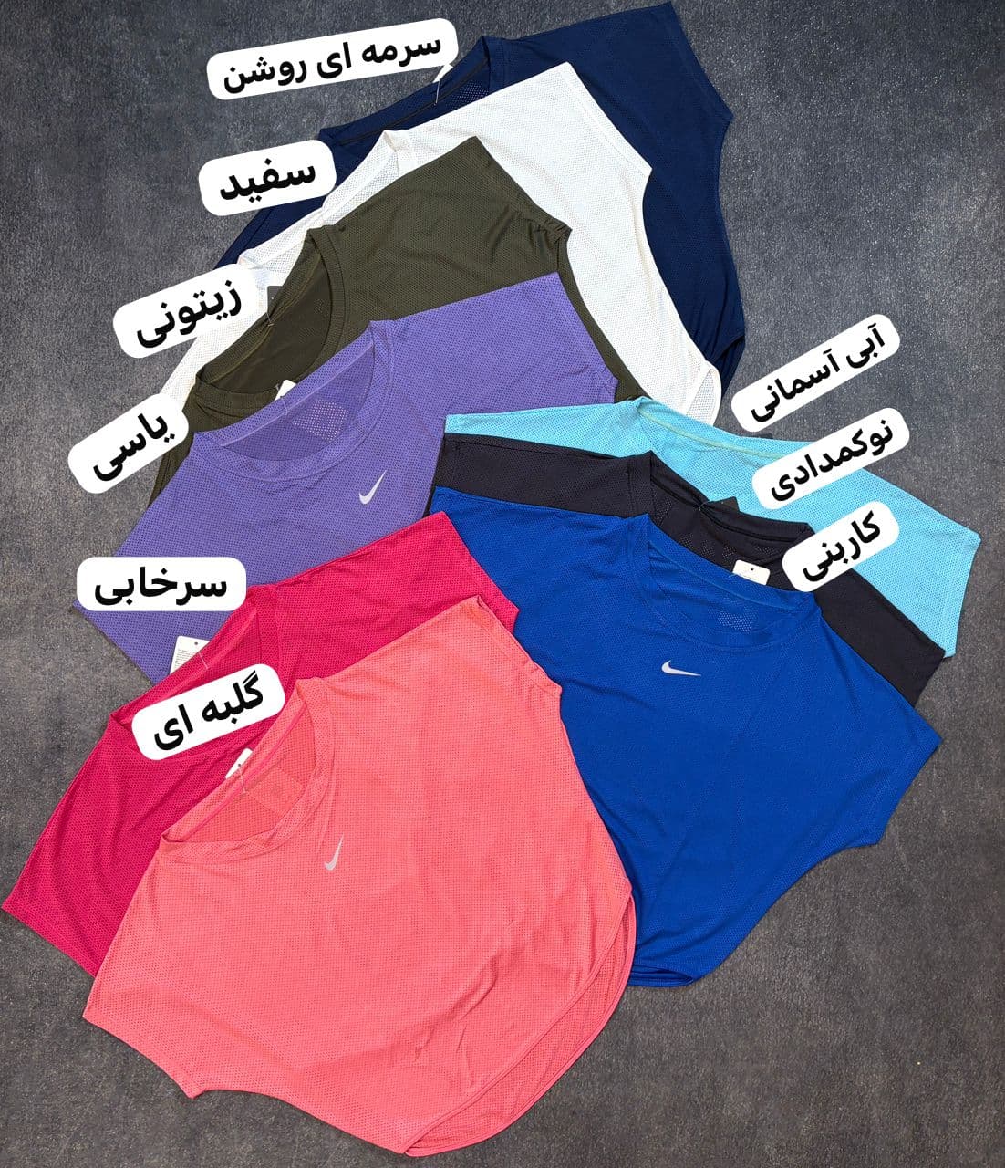کراپ خفاشی سوزنی کد 2513 — تصویر ۲