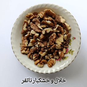 دندانه گردو